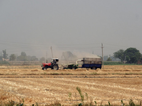 Indija razmatra ograničenja izvoza pšenice zbog najnovijeg smanjenja zaliha hrane