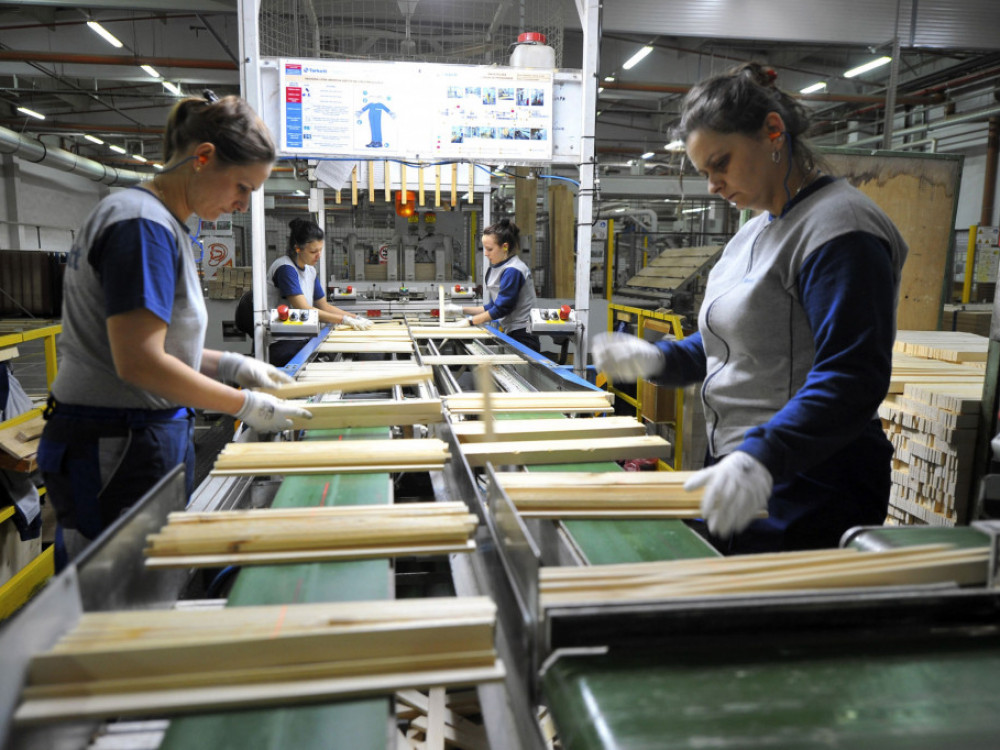 Zaposlenost raste: Prednjače programeri, poljoprivrednika sve manje