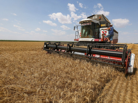 Rekordni rast pšenice, očekuje se dalji rast cena