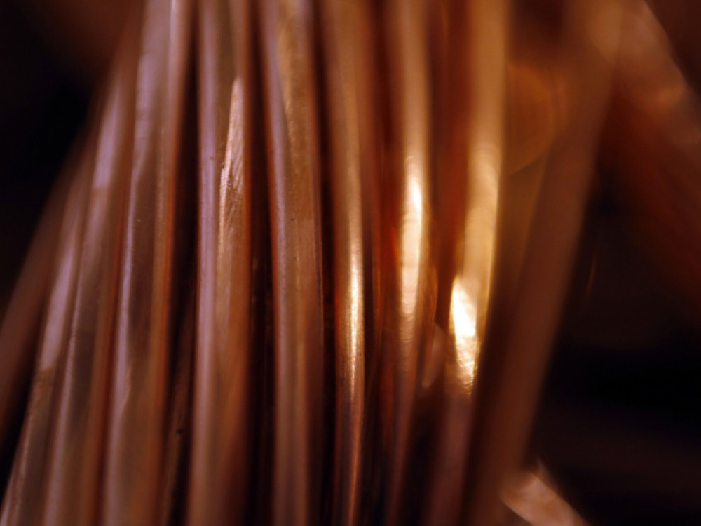 Loše prognoze za vodeći izvozni proizvod Srbije