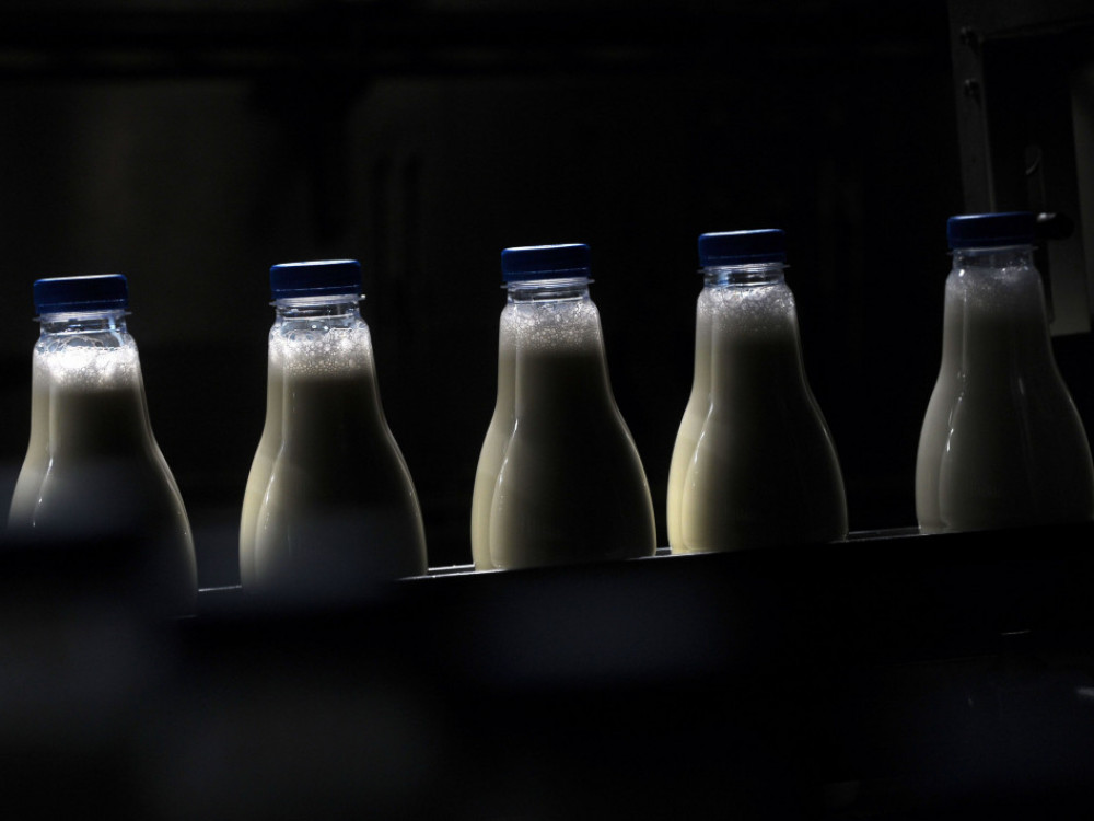 Vlada odustala od ograničenja cena mleka, tržište sada odlučuje