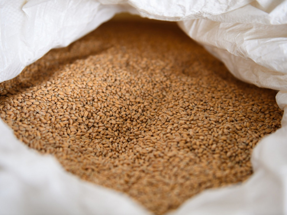 Ukrajina i Rusija potpisale dogovor o izvozu žitarica