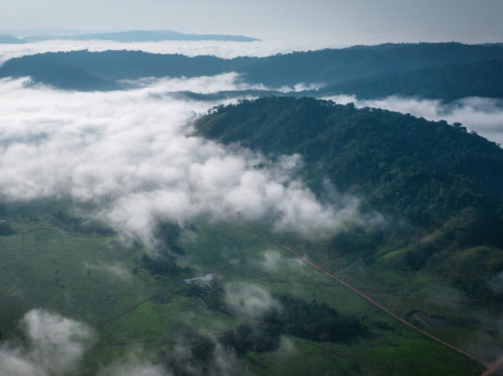 Krčenje Amazonije dostiglo rekordan nivo