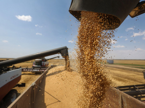 Ukrajina izvezla milion tona žitarica, 20 odsto svojih kapaciteta