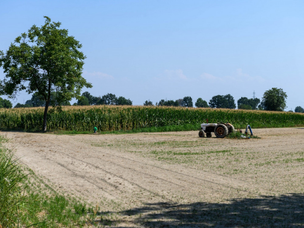 Brisel predlaže odstupanje od pravila radi veće proizvodnje žitarica