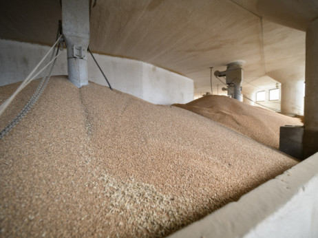 Ogroman ruski rod pšenice od 100 miliona tona čeka na izvoz