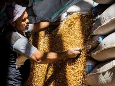 Egipat otkazuje ugovorenih 240.000 tona ukrajinske pšenice