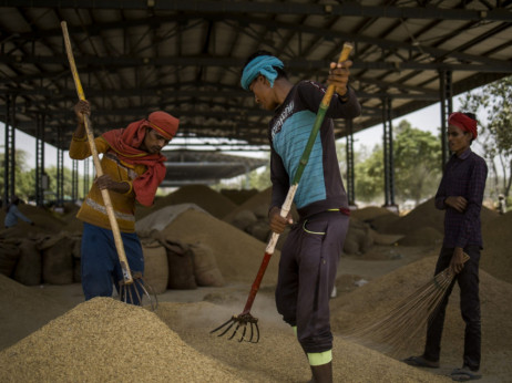 Indija ima pirinča za Evropu usred krize, ali pravila komplikuju izvoz