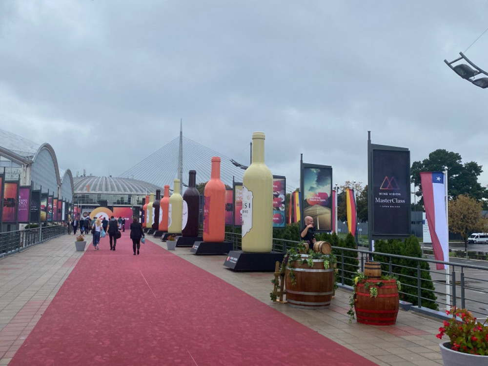 Ovako je nastalo vino Otvorenog Balkana