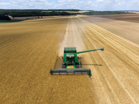 Odluka Rusije može dovesti do rasta cena žita