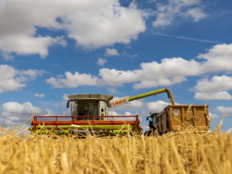 Cena pšenice skočila posle ruskog napuštanja dogovora o izvozu