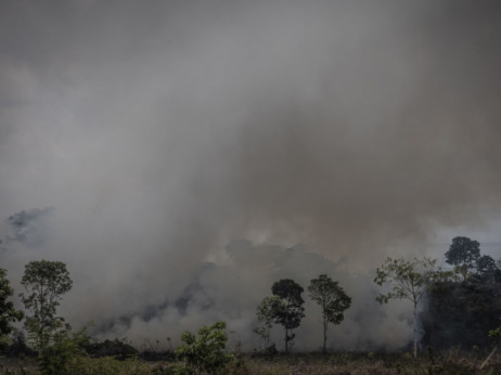 Stiže plan za spas Amazonske prašume, koja se uništava najbržim tempom u 15 godina
