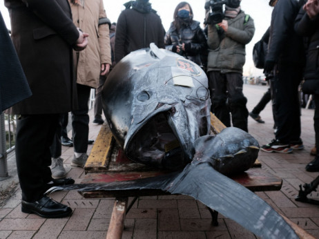 Džinovska tuna prodata za 275.000 dolara na aukciji u Tokiju