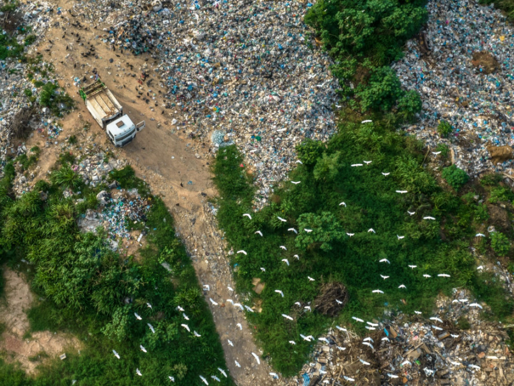 Domino-efekat: Spaljivanje drveća u Amazoniji topi sneg na Himalajima