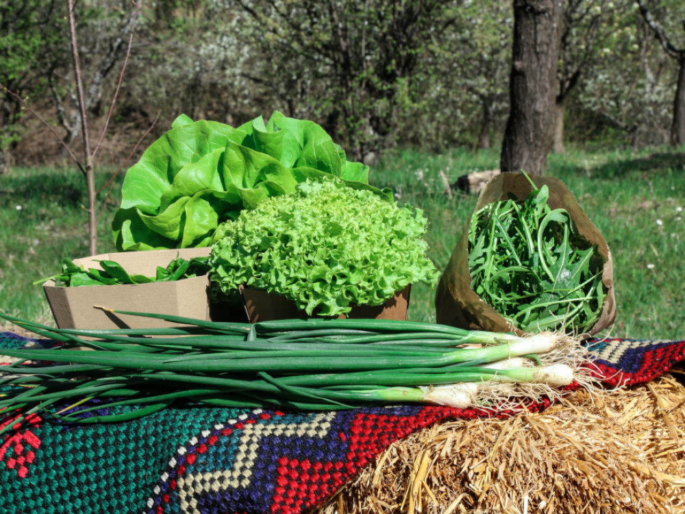 Zdrava hrana je skupa - eto ideje za male poljoprivrednike u Srbiji