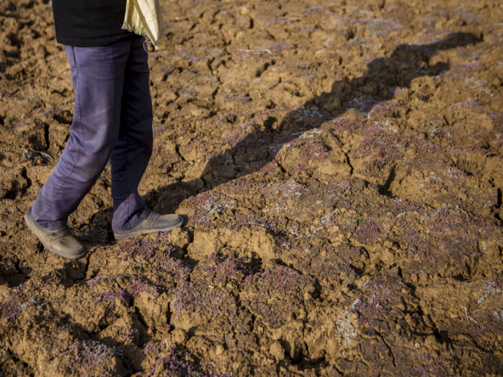 Novi pristup klimi ujedinjuje Z. Balkan u borbi protiv poplava