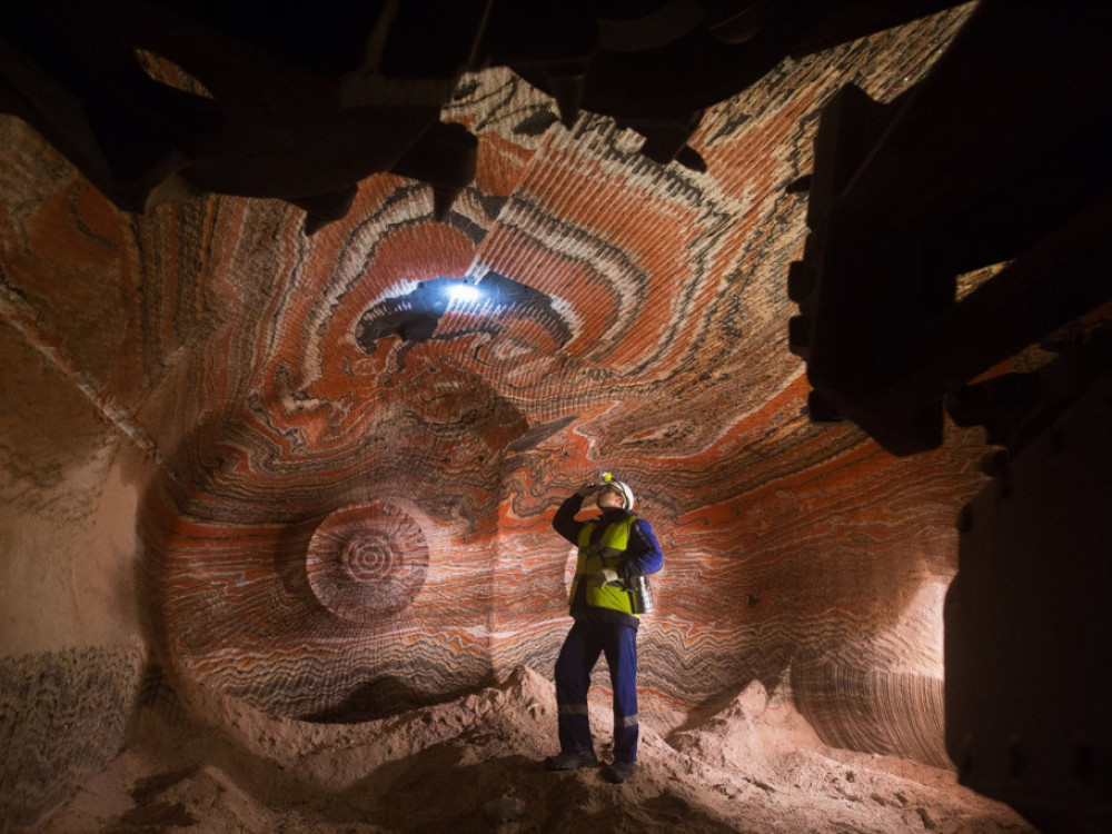Rusija i Kina imaju kontrolu u svetskoj  proizvodnji  hrane