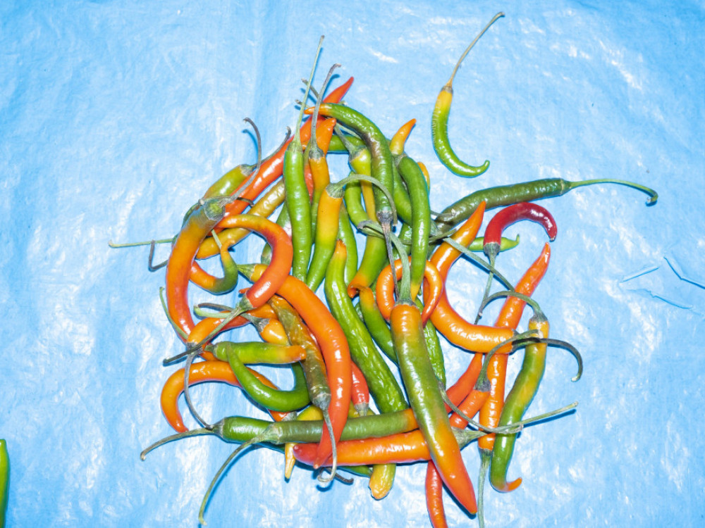 Subvencije za organsku poljoprivredu pomažu, tražnja veća od ponude