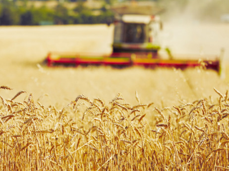 Italijanski ministar: 'Nearshoring' može da pomogne srpskoj poljoprivredi