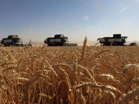 Kina kupuje puno robe od Rusije, ali ne i pšenicu