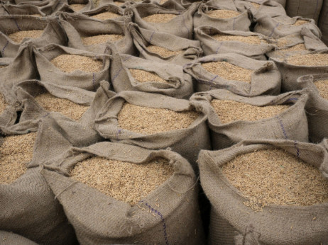 Indija dodatno ograničila izvoz pirinča