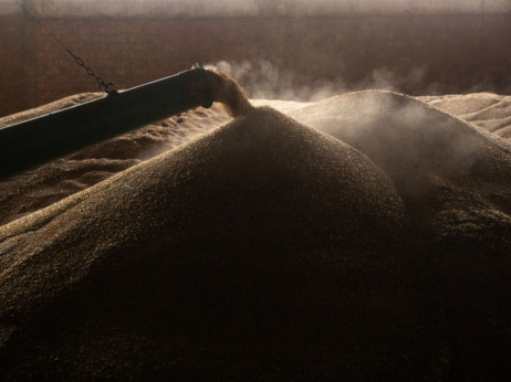 Cene pšenice rastu jer je Rusija zaustavila promet u luci Novorosijsk