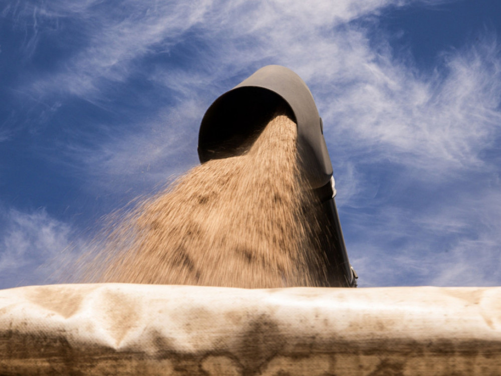 Crnomorski žitni rat i njegove potencijalne posledice