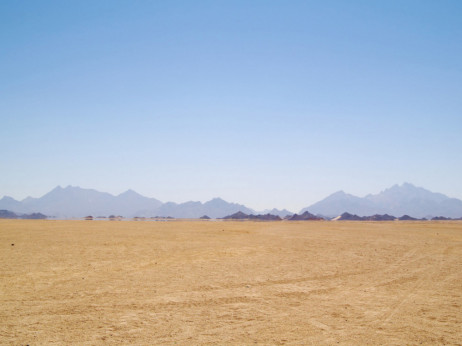 Saudijska Arabija i Holandija rade na uzgoju hrane u pustinji