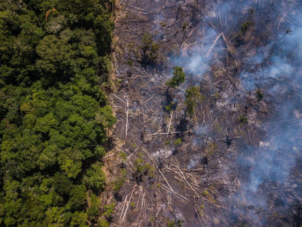Mogu li ulaganja u biodiverzitet dostići klimatske investicije