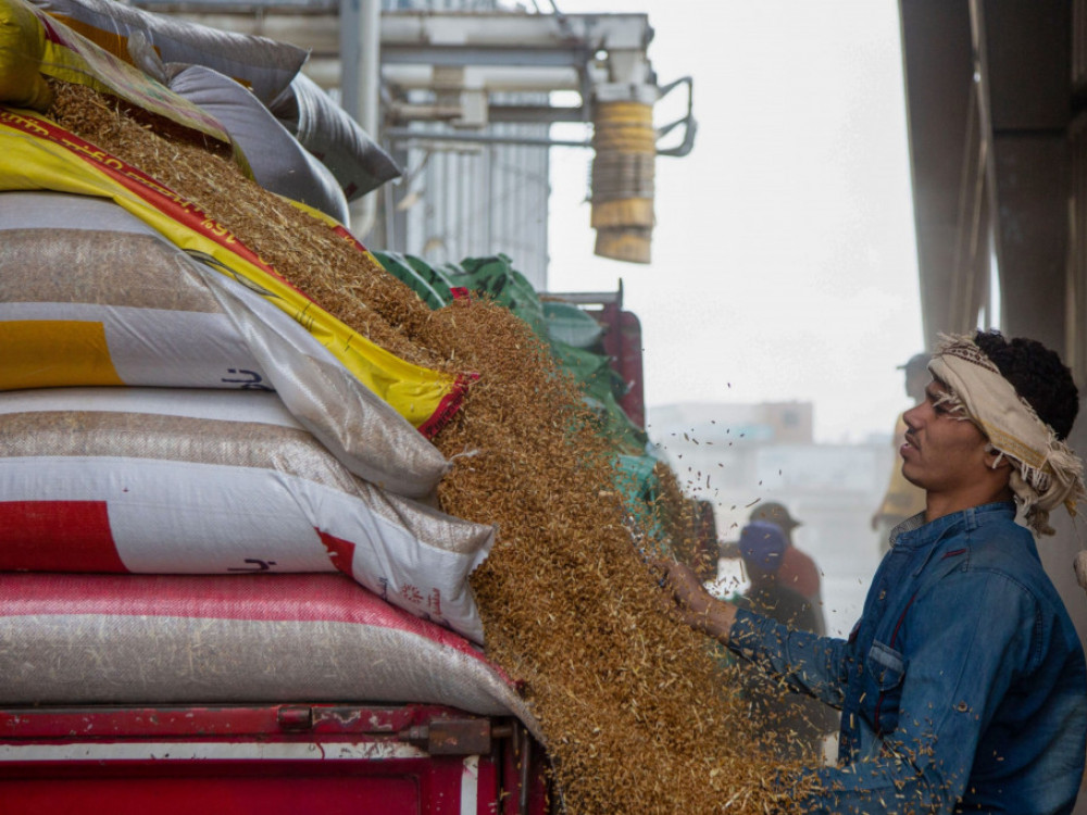 Egipat odobrio isporuku pšenice nezavisno od porekla