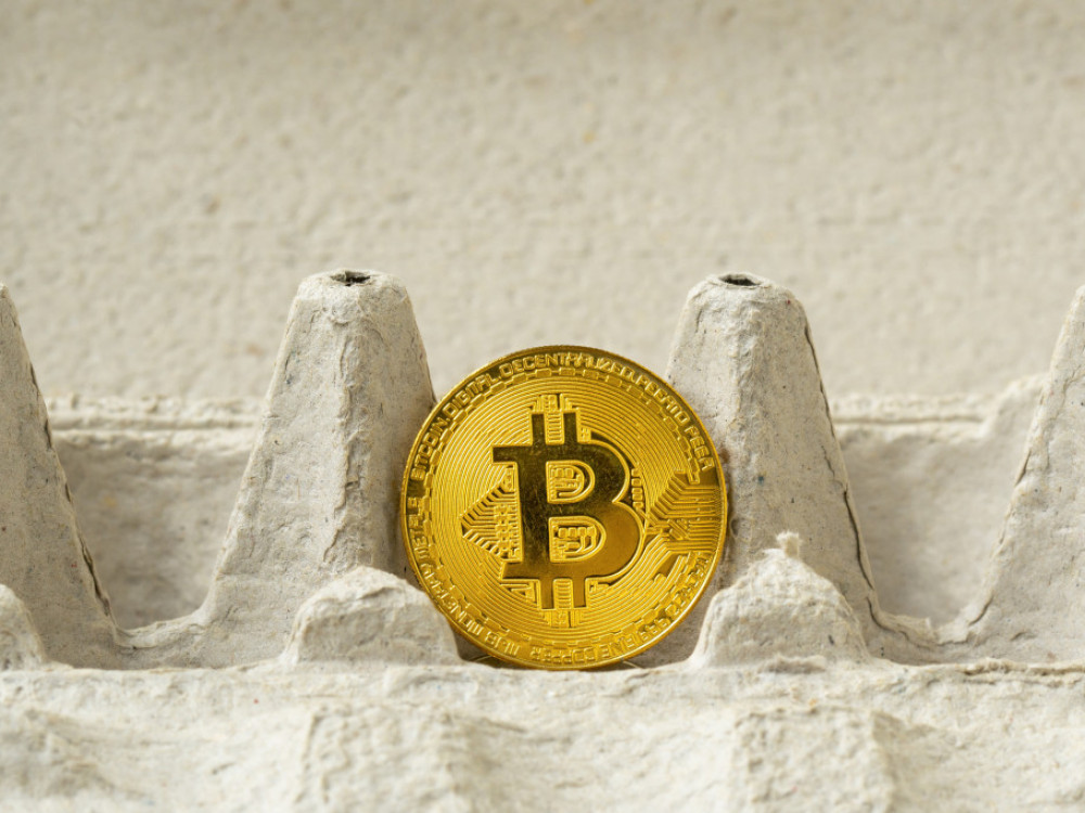 Cena jaja razotkriva snagu bitcoina i dolara