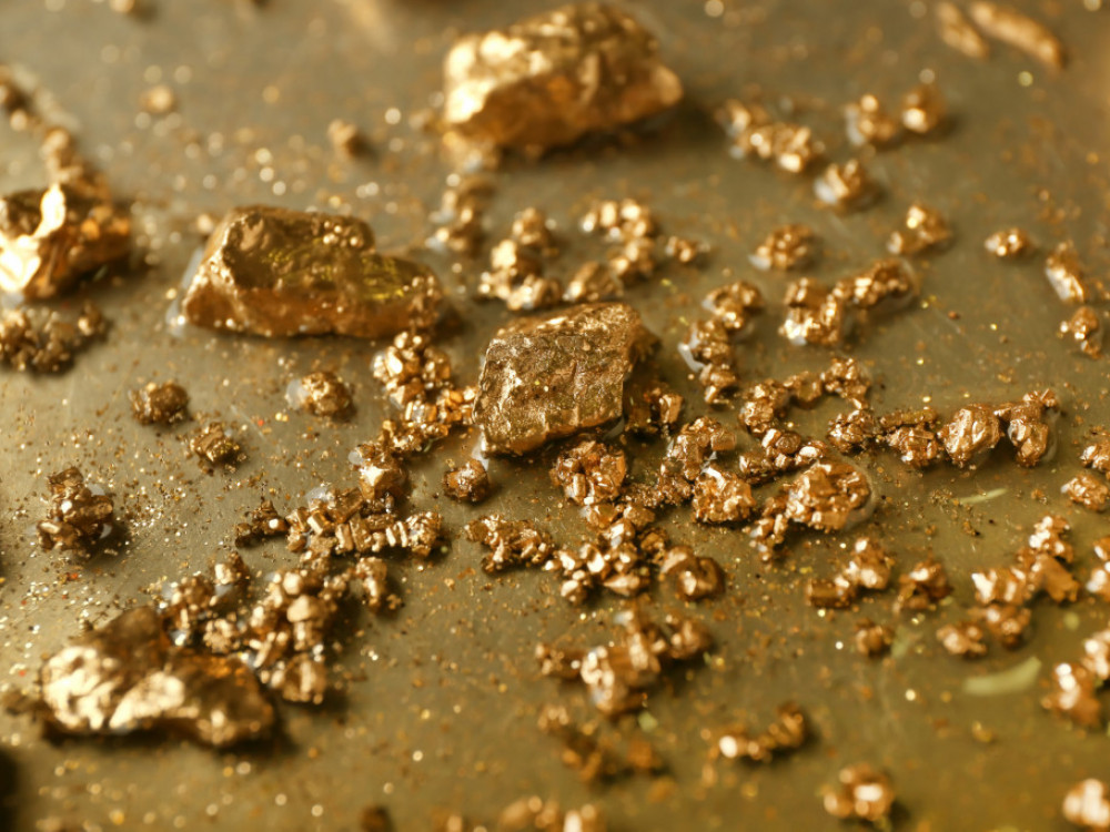 Zlato bi u 2024. godini moglo do novih rekordnih vrednosti