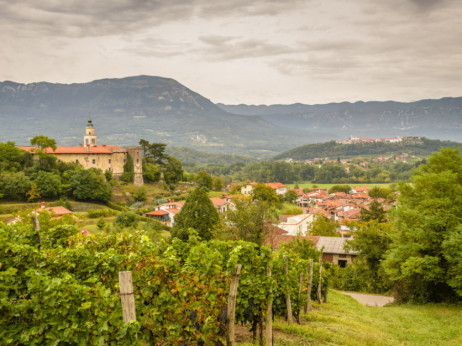 50 najboljih vina na svetu, jedno je iz Slovenije