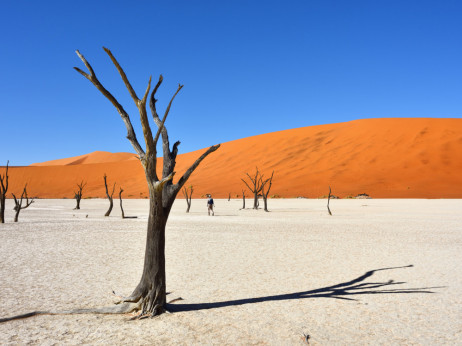 Namibija crvenim dinama, plavim morem i safarijem privlači srpske turiste