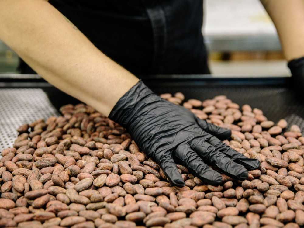 Kakao je skuplji od bakra i košta više od 9.000 dolara