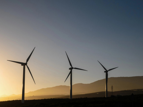 Trump ponovo obećava da će blokirati gradnju vetroturbina tokom svog mandata