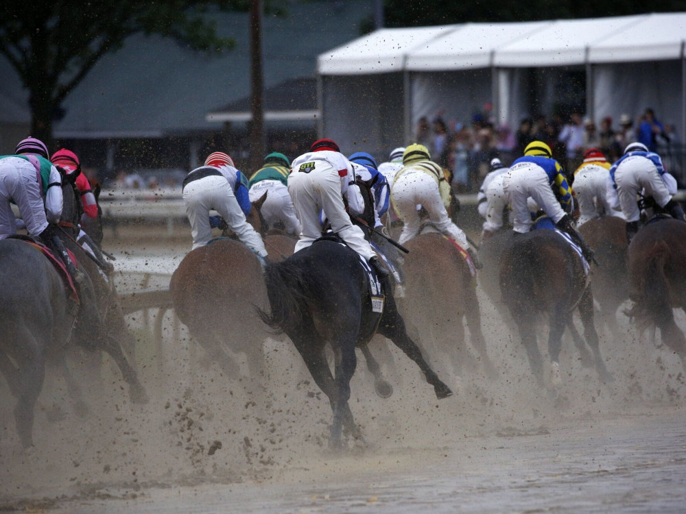 Jednorozi su vladali deceniju. Tehnološkom svetu treba nova zver