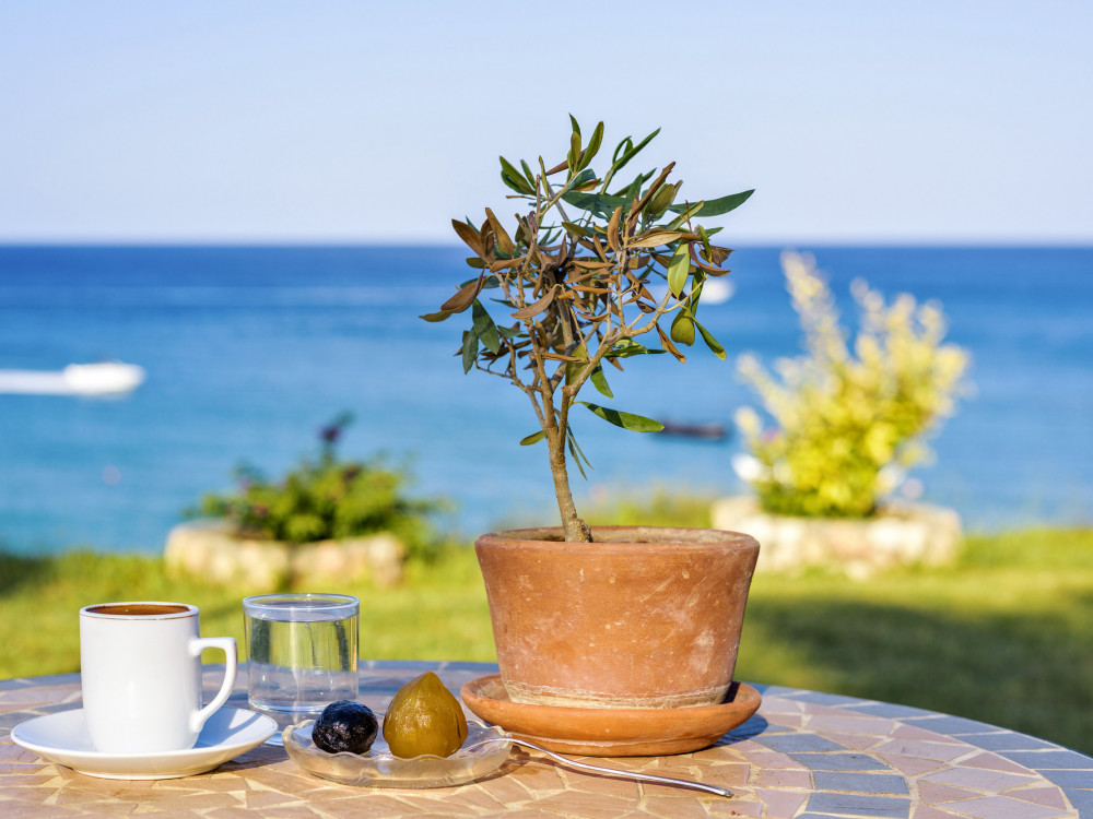 Pet stvari koje treba da znate danas: Ulaganje u nekretnine i poskupljenje putarine