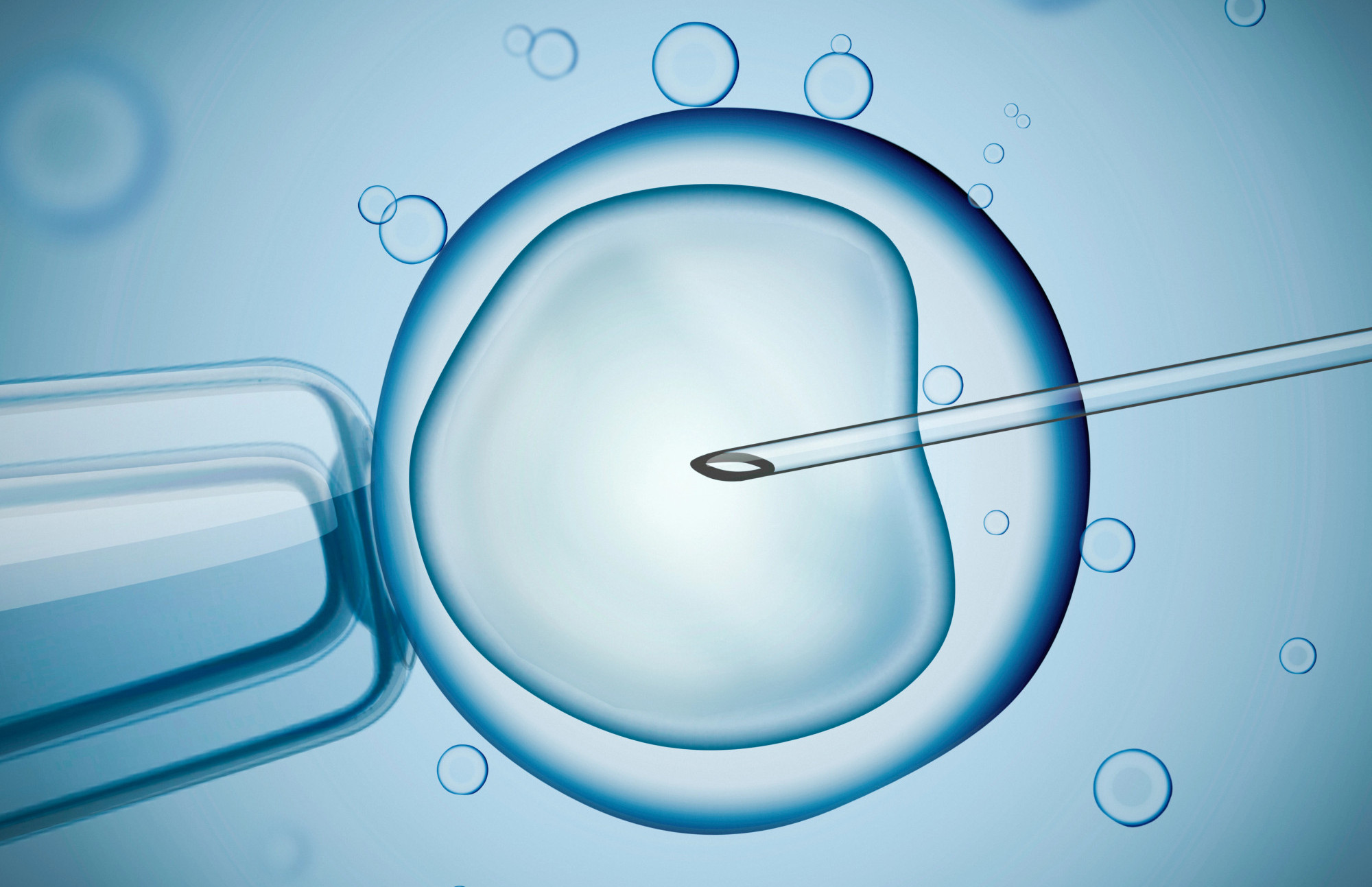 U čekaonici: biznis koji prkosi prirodi