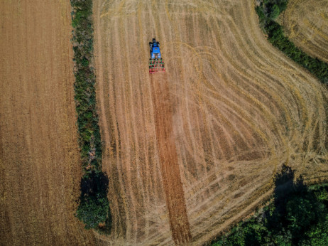 Užareno leto