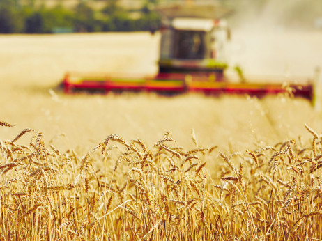 Zašto je strah od nestašice hrane makroekonomski neutemeljen