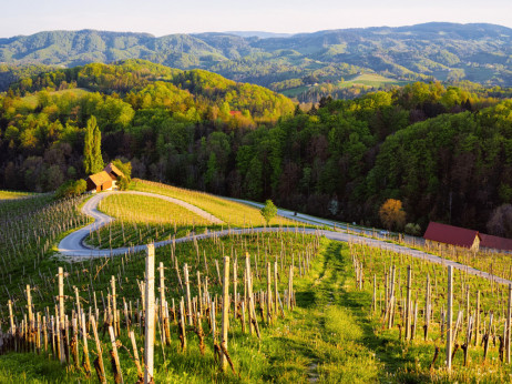 Predlog za vikend - otkrijte slovenački vinski turizam