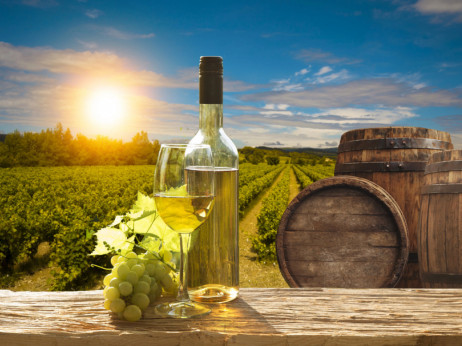 Vinski maraton od 2.817 kilometara kroz balkanske vinograde