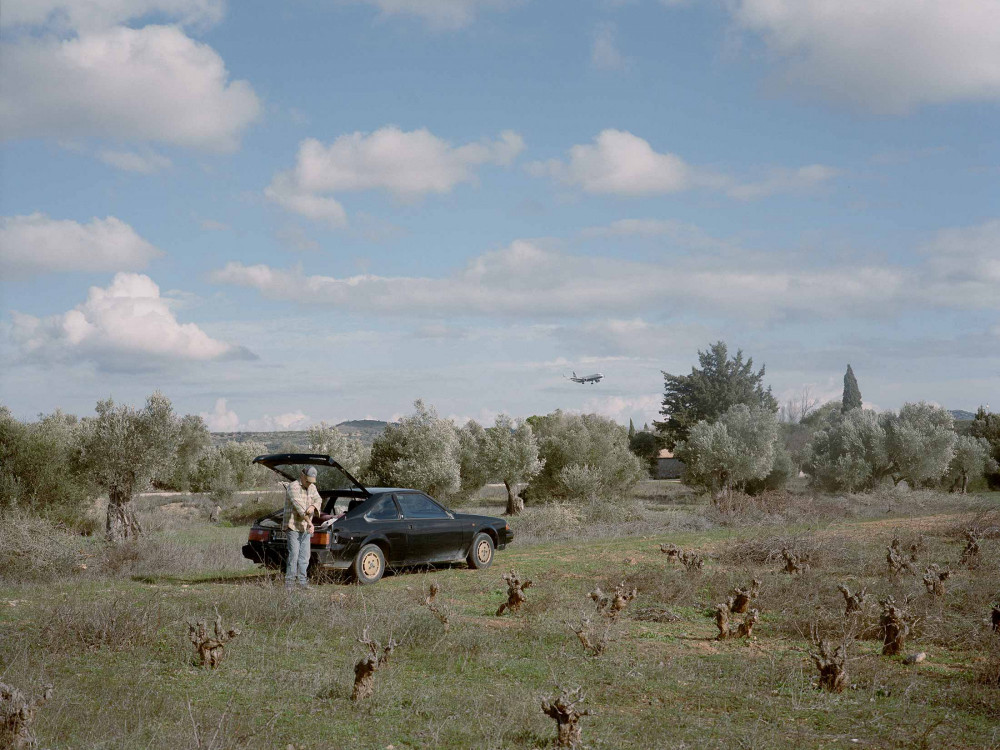 Grčko maslinovo ulje postaje luksuz - suša, požari i lopovi pustoše zasade