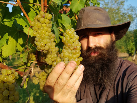 Nove butik vinarije i veliki igrači naš adut u utakmici sa klimom