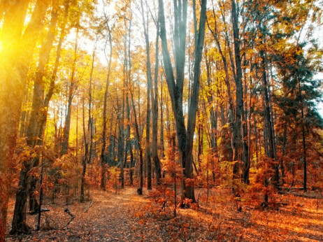 Gde otići na mini-odmor u novembru kolima