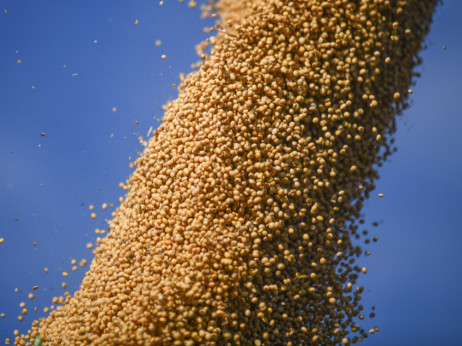 Kina kupila prvu američku soju ove sezone - da li je na pomolu obnova trgovine