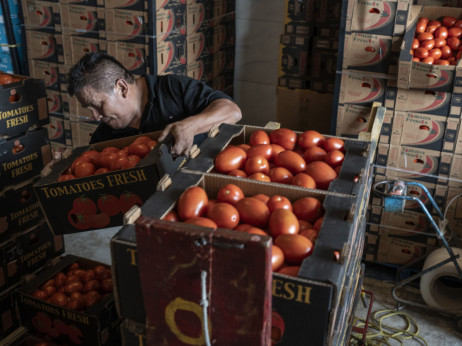 Trump smanjuje carine na govedinu i kafu zbog visokih cena