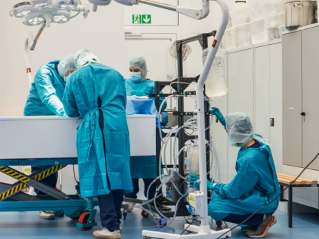 Krioprezervacija: Rizici i prinosi kao kod bitcoina