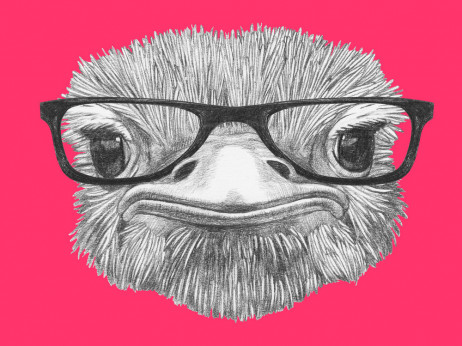 Vikend esej: Naša era je era noja